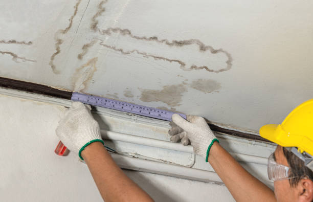 Reliable Water Damage Repair contractor in Ben Lomond, CA by Hirex Water Damage
